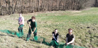 Engagieren sich für den Tierschutz: Finn, Lukas, Valeria und Kreismitarbeiter Frank bauen Krötenzäune auf. Foto: Kreis